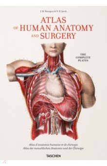 Bourgery J. M.: Atlas of Human Anatomy and Surgery