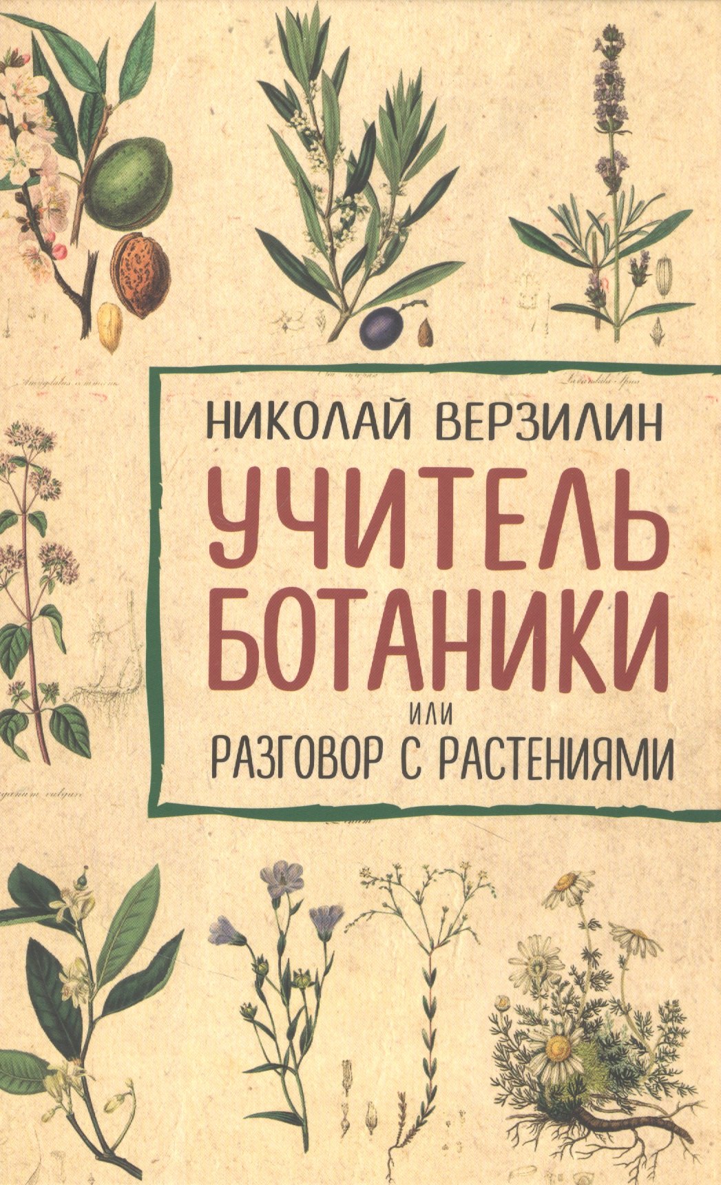 Михайлович Верзилин Николай: Учитель ботаники, или разговор с растениями