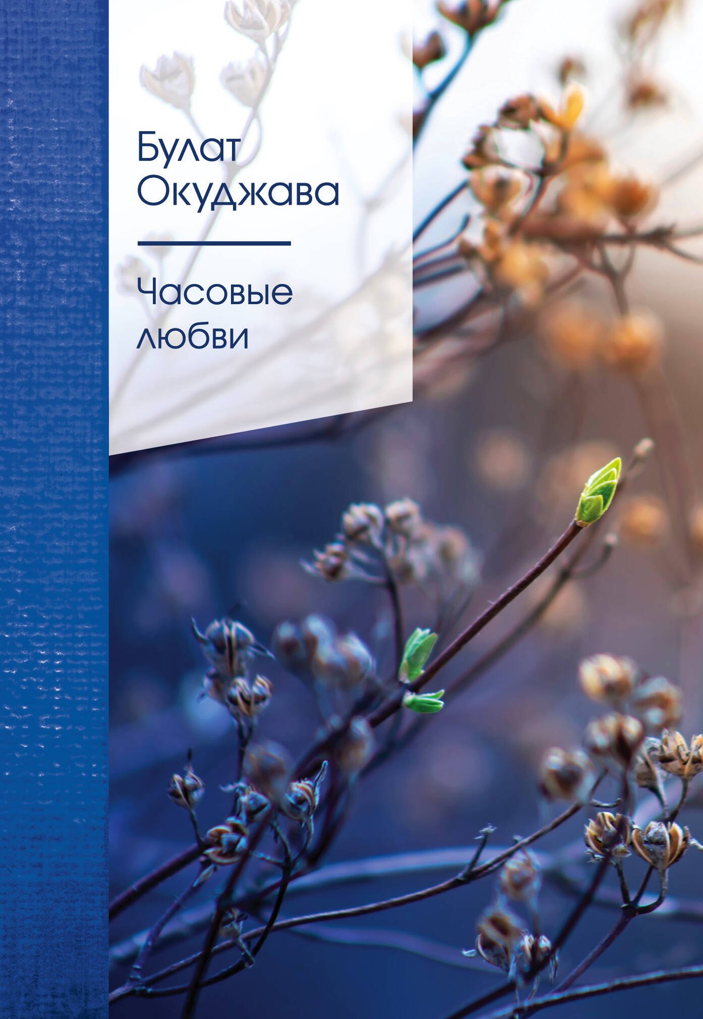 Окуджава Булат Шалвович: Часовые любви