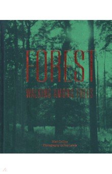 Collins Matt: Forest. Walking among trees