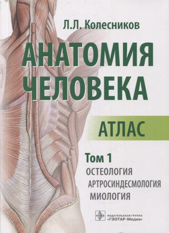 Колесников Лев Львович: Анатомия человека: атлас: в 3-х томах. Том 1. Остеология, артросиндесмология, миология