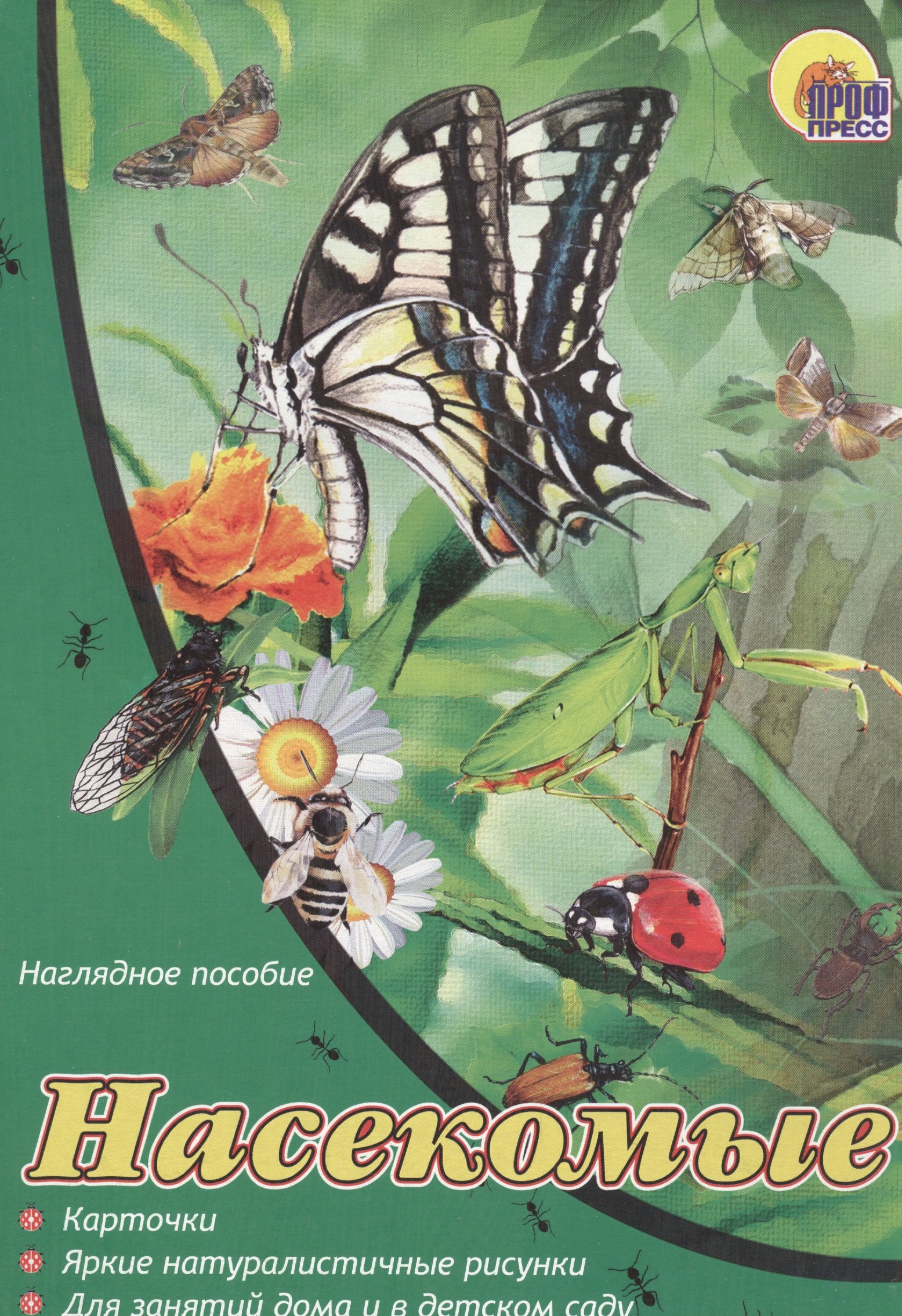 Гетцель Виктория: Насекомые: набор карточек