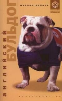 Дубров Михаил: Английский бульдог