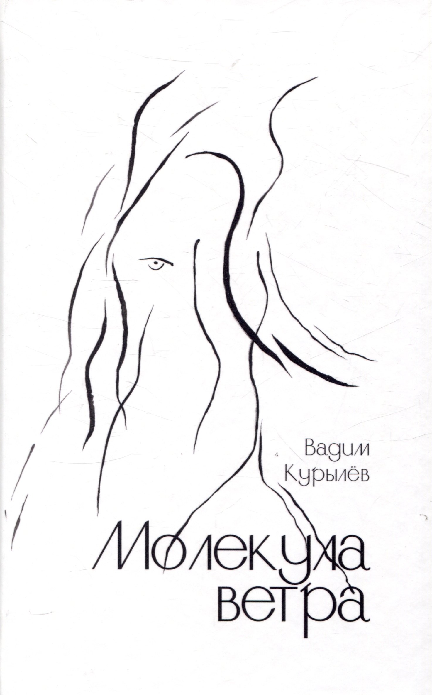 Вадим Курылёв: Молекула ветра