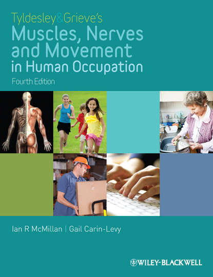 McMillan Ian: Tyldesley and Grieve's Muscles, Nerves and Movement in Human Occupation