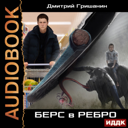 Гришанин Дмитрий: Берс – 1. Берс в ребро