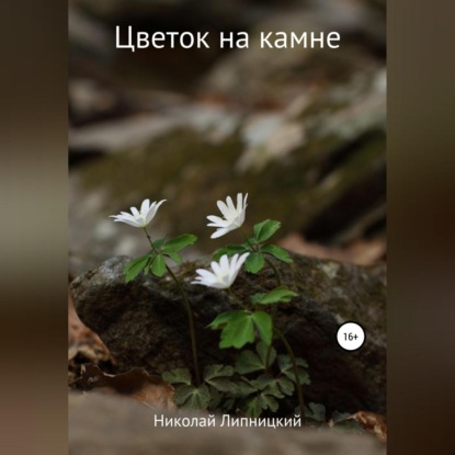 Иванович Николай Липницкий: Цветок на камне