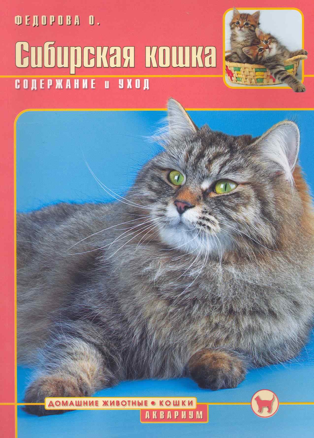 Сибирская кошка. Содержание и уход (цвет)