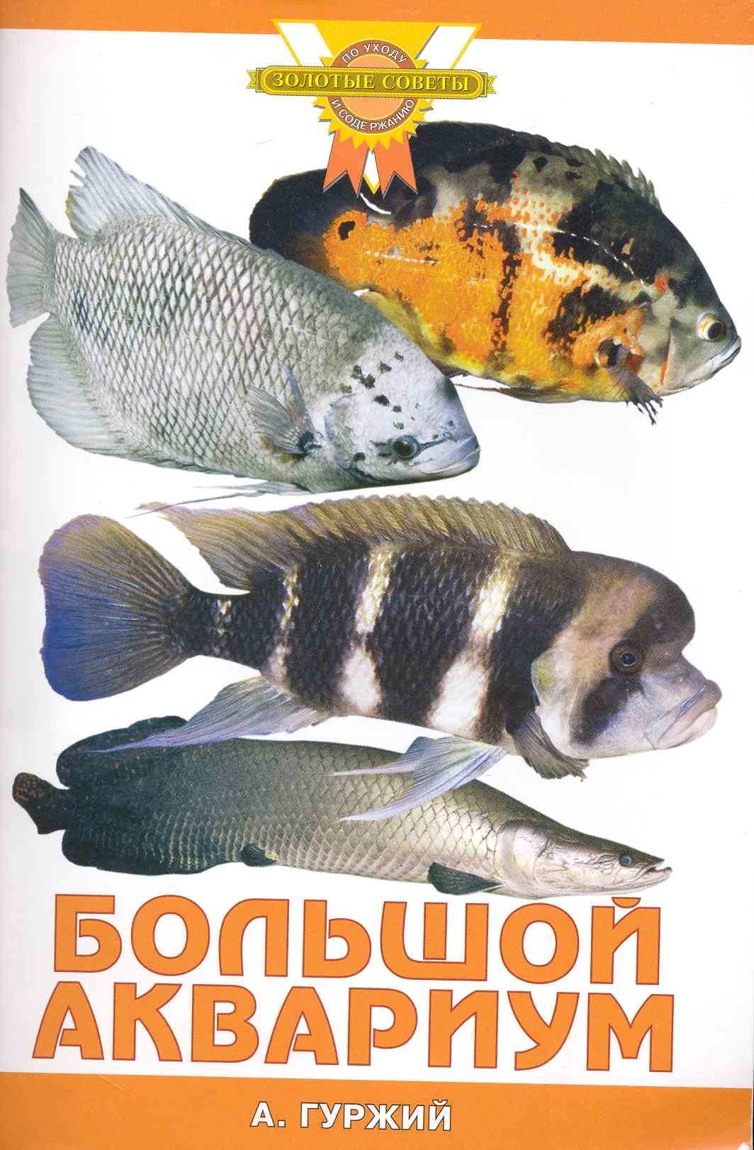 Гуржий Александр Николаевич: Большой аквариум