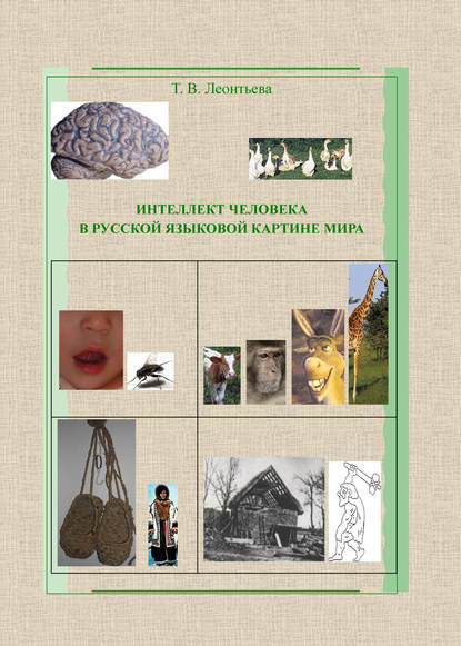 В. Т. Леонтьева: Интеллект человека в русской языковой картине мира