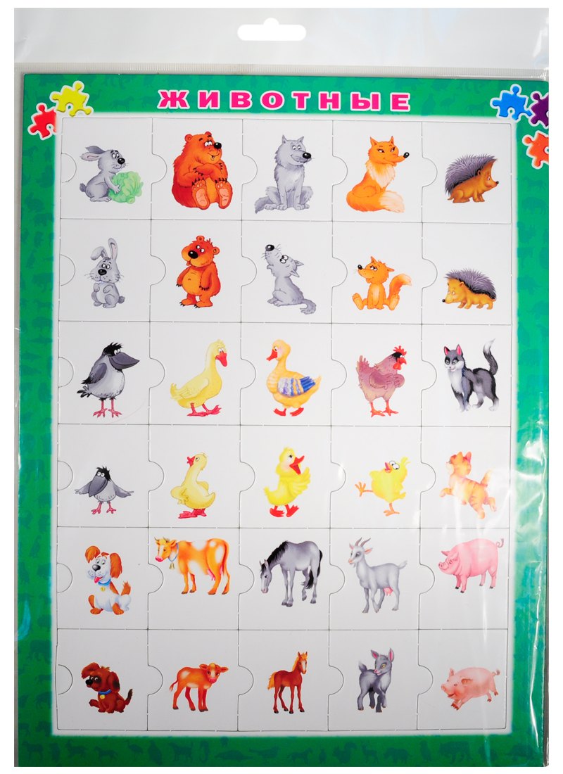 Дмитриева Валентина Геннадьевна: Животные