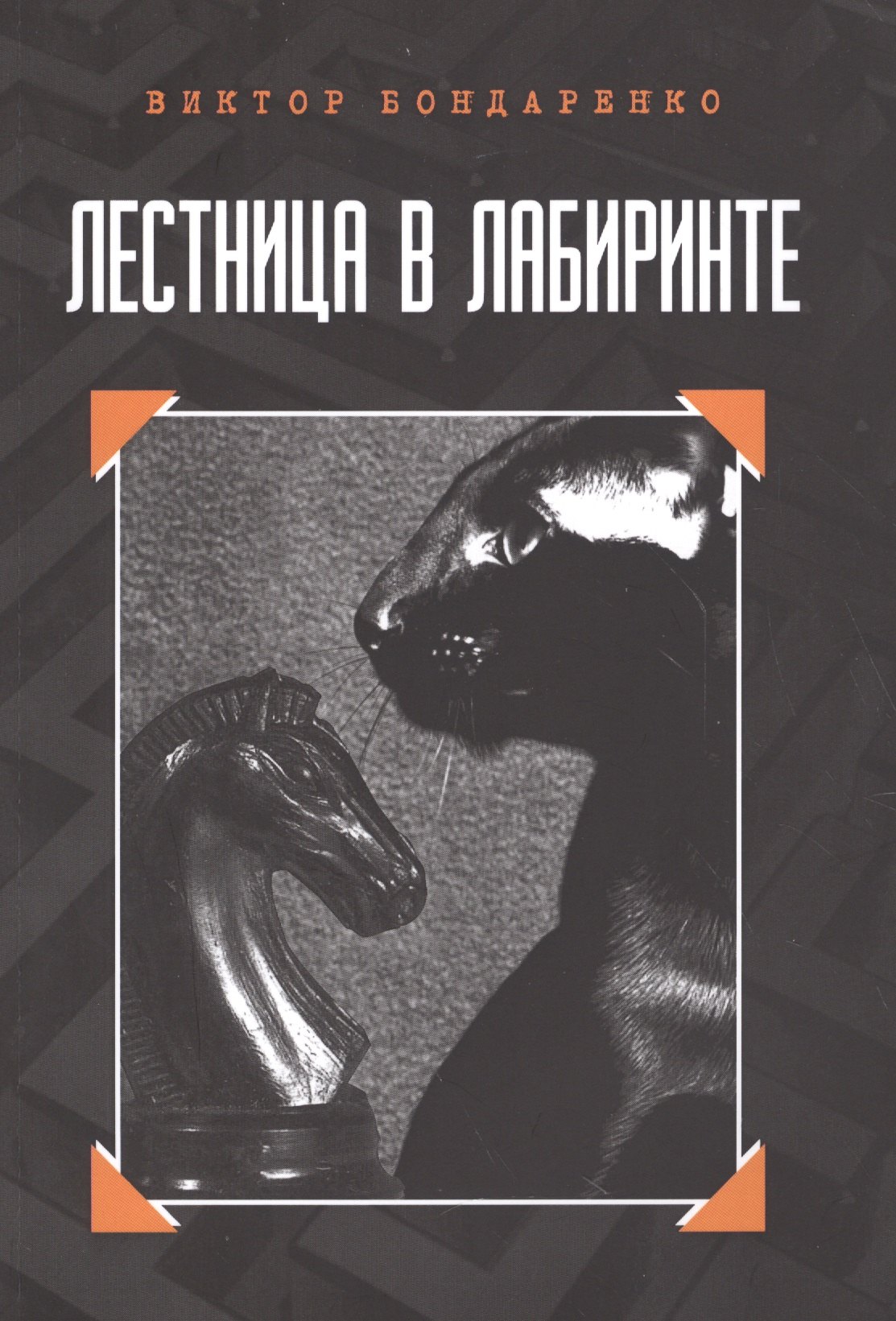 Николаевич Бондаренко Виктор: Лестница в лабиринте