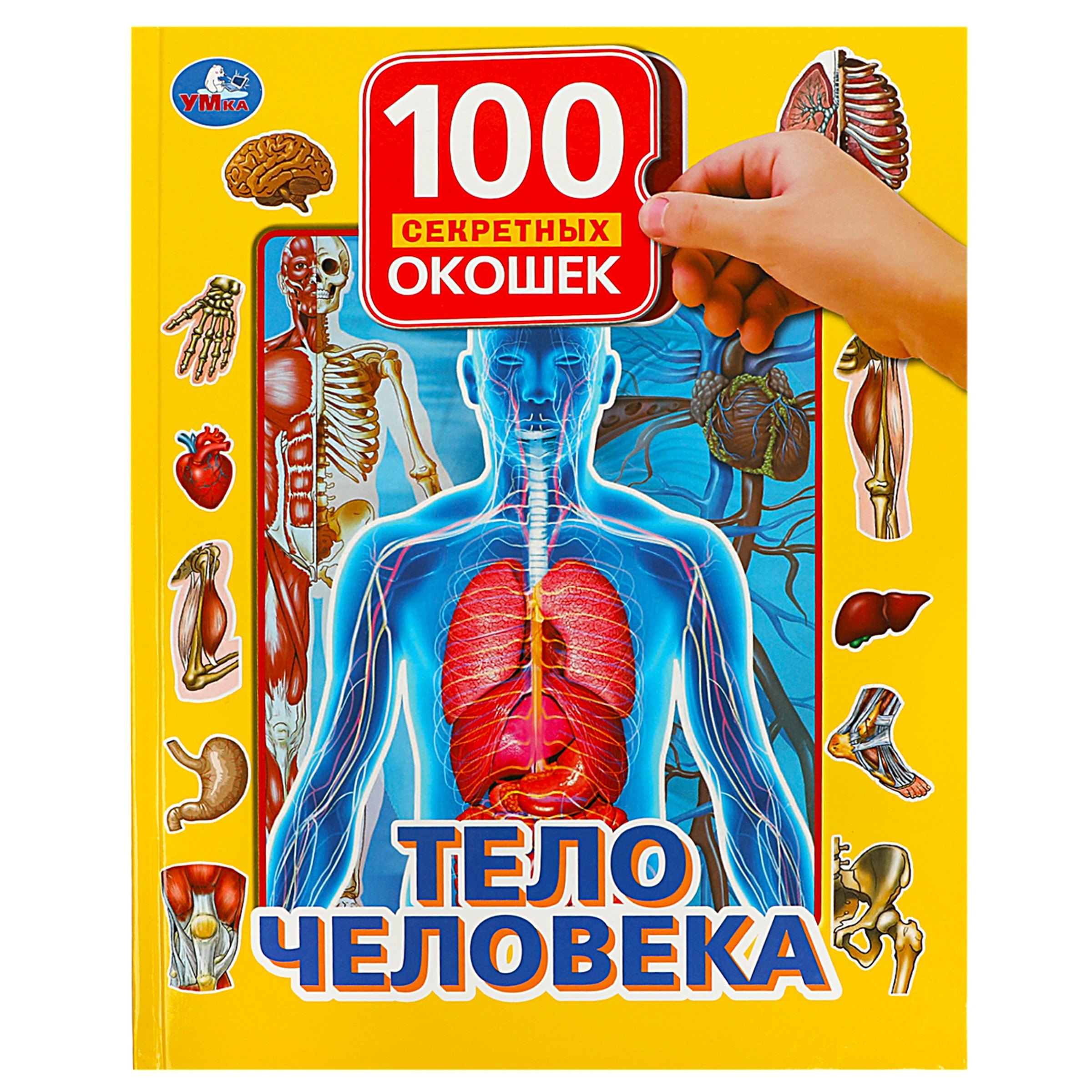 автора нет: Тело человека