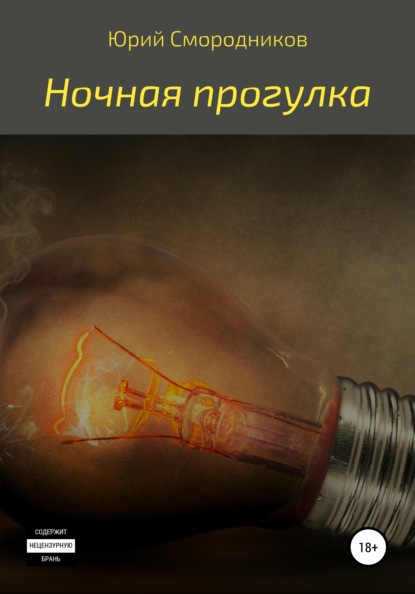 Владимирович Юрий Смородников: Ночная прогулка