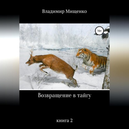 Мищенко Владимир: Возвращение в тайгу