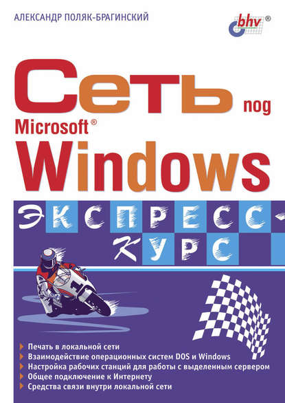 В. А. Поляк-Брагинский: Сеть под Microsoft Windows