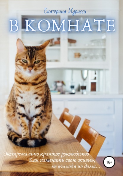 Идрисси Екатерина: В комнате. Экстремально краткое руководство. Как изменить свою жизнь не выходя из дома