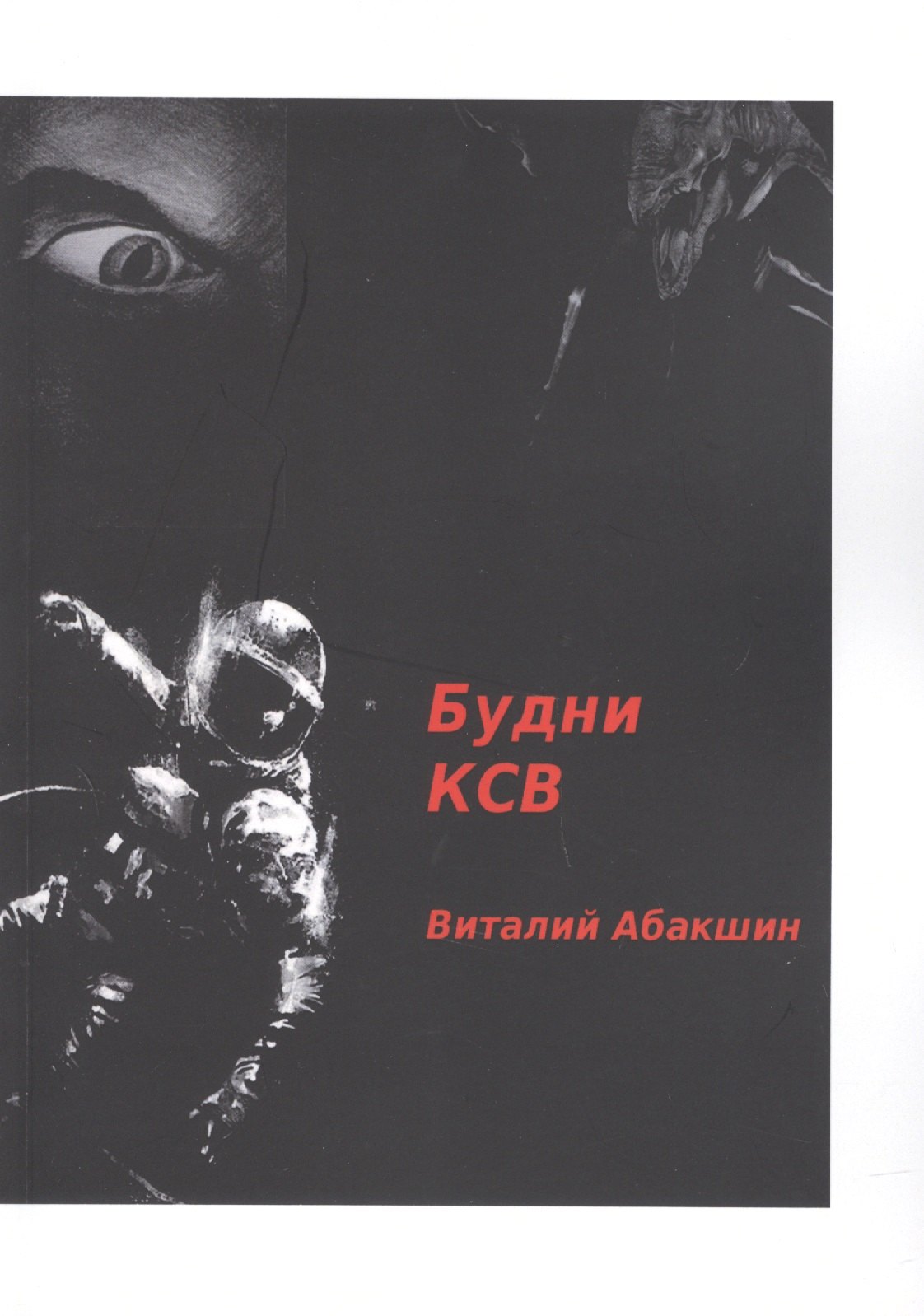 Виталий Абакшин: Будни КСВ