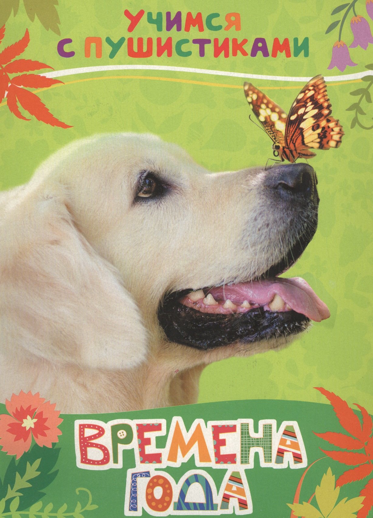 Дядина Галина: Времена года