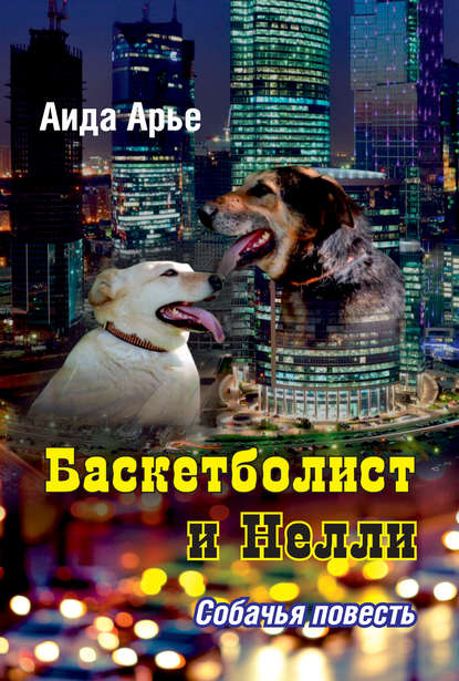 Арье Аида: Баскетболист и Нелли