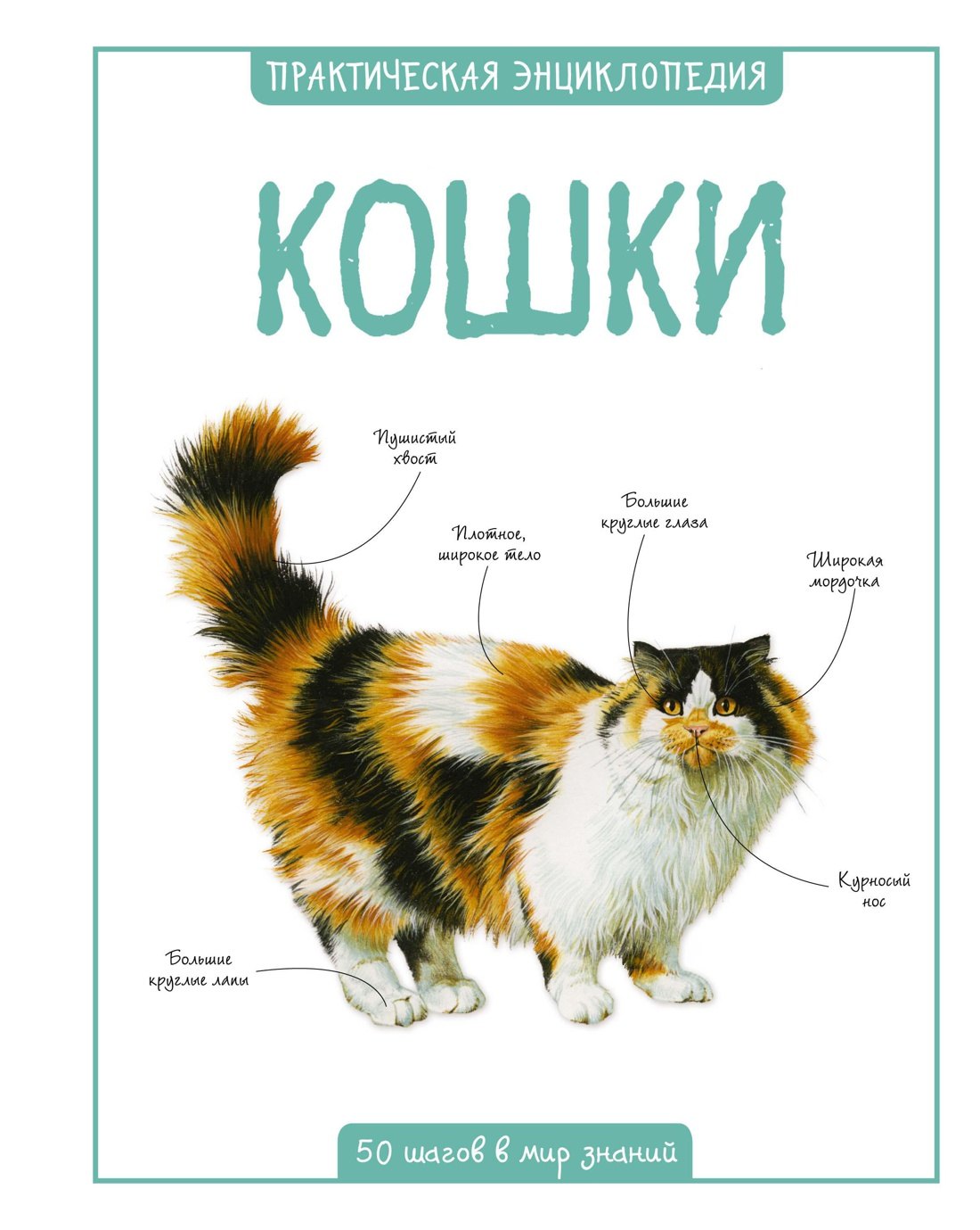 Де Ла Мэр: Кошки