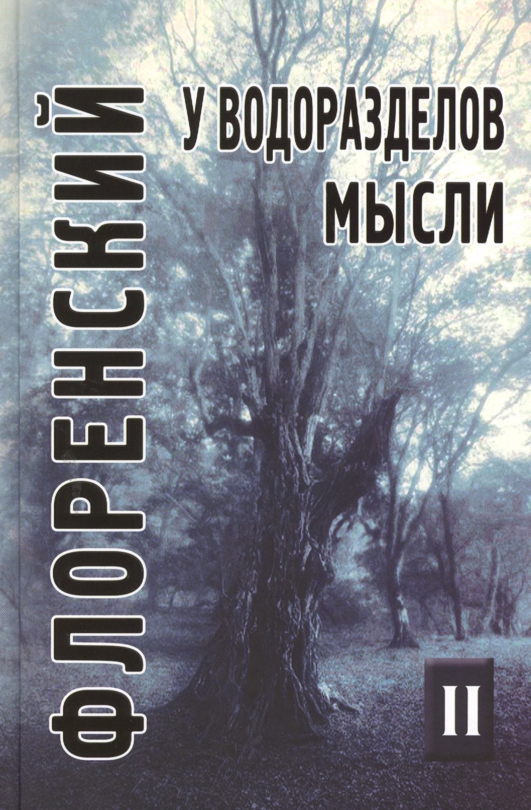 Флоренский Павел Александрович: У водоразделов мысли (Черты конкретной метафизики). Т. 2