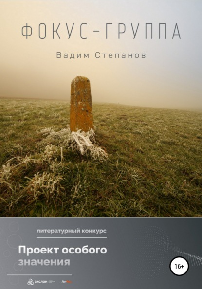 Степанов Вадим: Фокус-группа