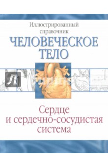 Сердце и сердечно-сосудистая система