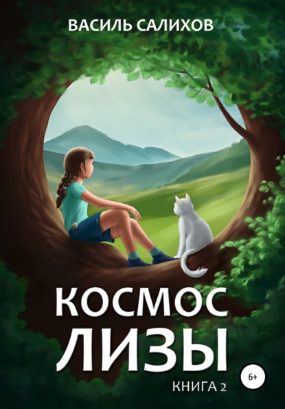 Салихов Василь: Космос Лизы. Книга 2