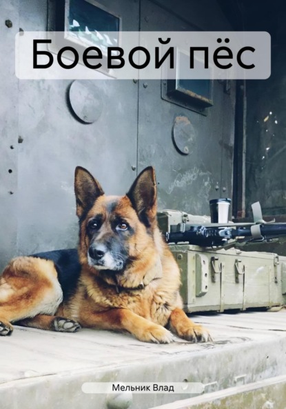 Влад Мельник: Боевой пёс