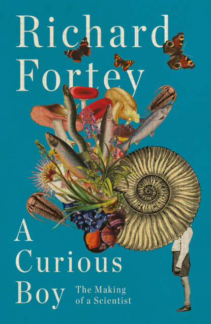 Fortey Richard: A Curious Boy