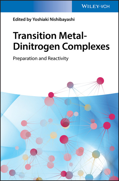 Nishibayashi Yoshiaki: Transition Metal-Dinitrogen Complexes