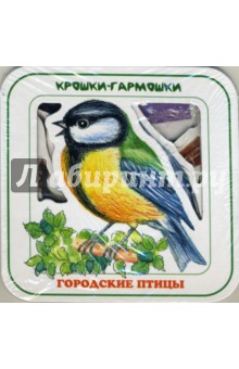 Городские птицы