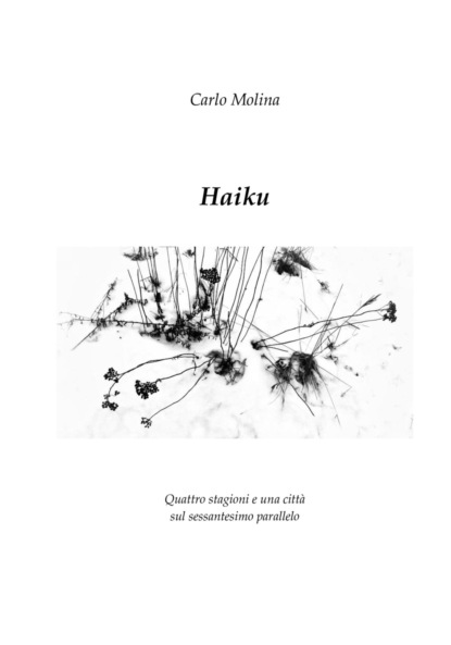 Molina Carlo: Haiku