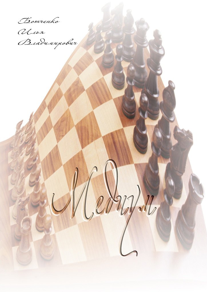 Владимирович Ботченко Илья: Медиум