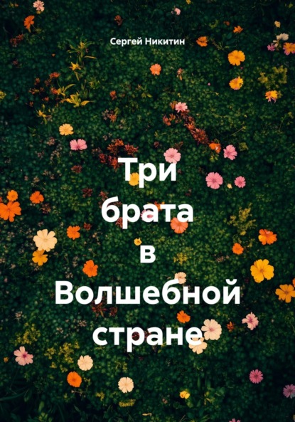 Никитин Сергей: Три брата в Волшебной стране