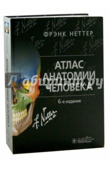 Неттер Фрэнк: Атлас анатомии человека
