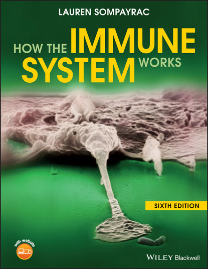 M. Lauren Sompayrac: How the Immune System Works