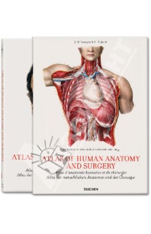 Le Minor Jean-Marie: Bourgery. Atlas of Human Anatomy and Surgery