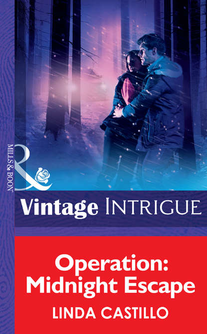 Castillo Linda: Operation: Midnight Escape