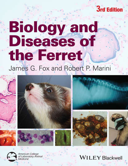 Fox James: Biology and Diseases of the Ferret