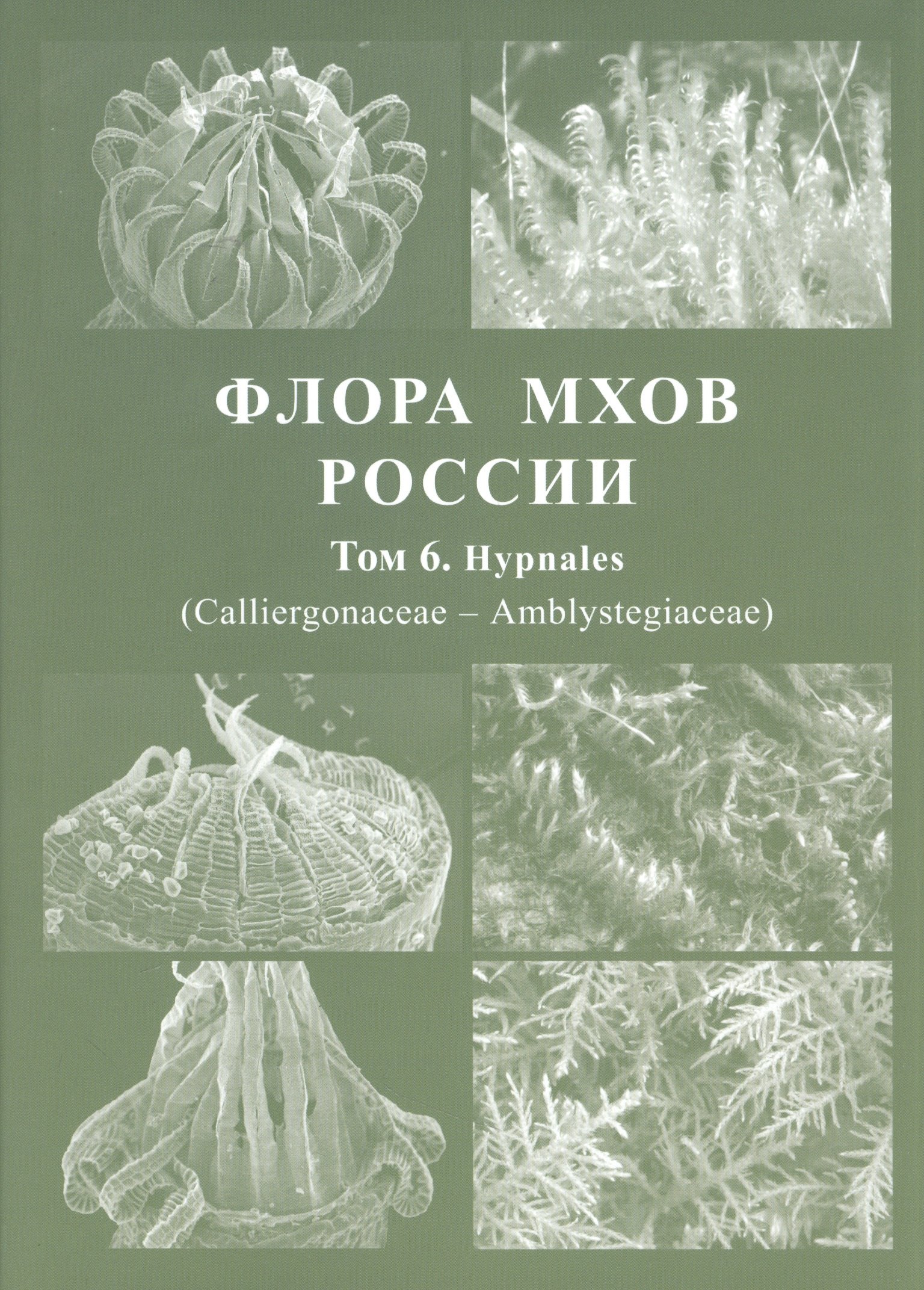 Флора мхов России. Том 6