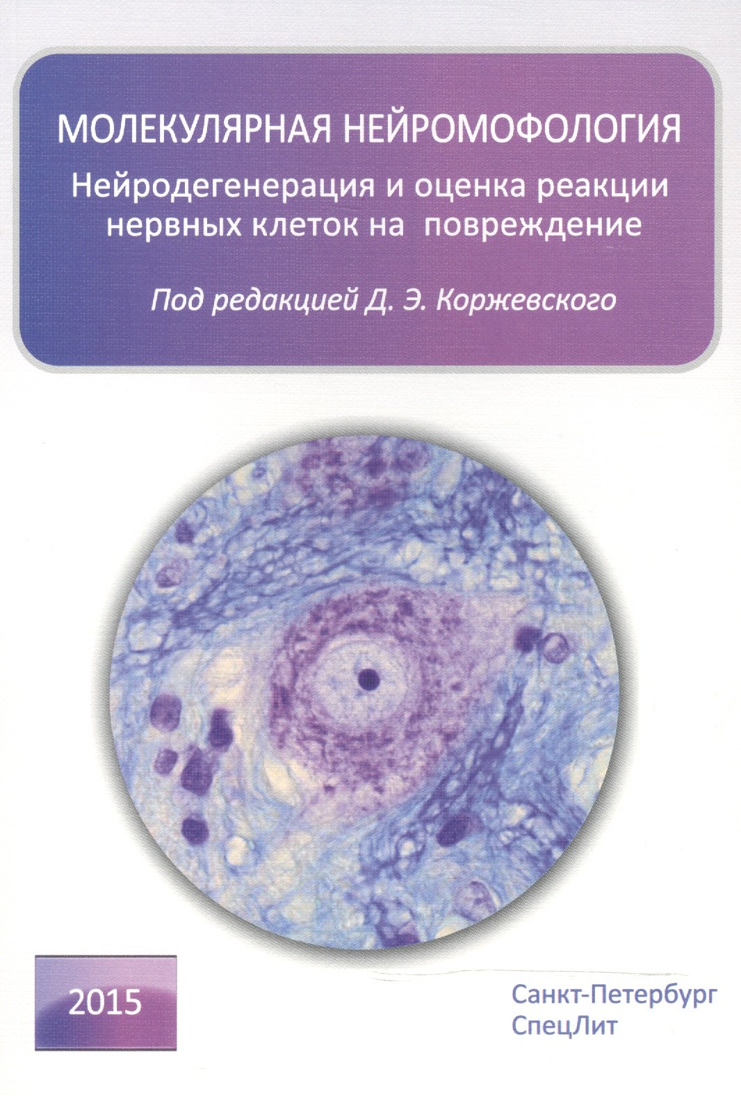 Коржевский Дмитрий Эдуардович: Молекулярная нейроморфология