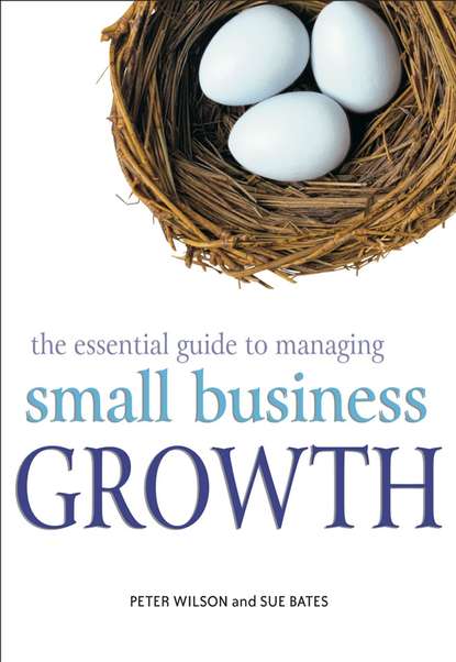 Wilson Peter H.: The Essential Guide to Managing Small Business Growth