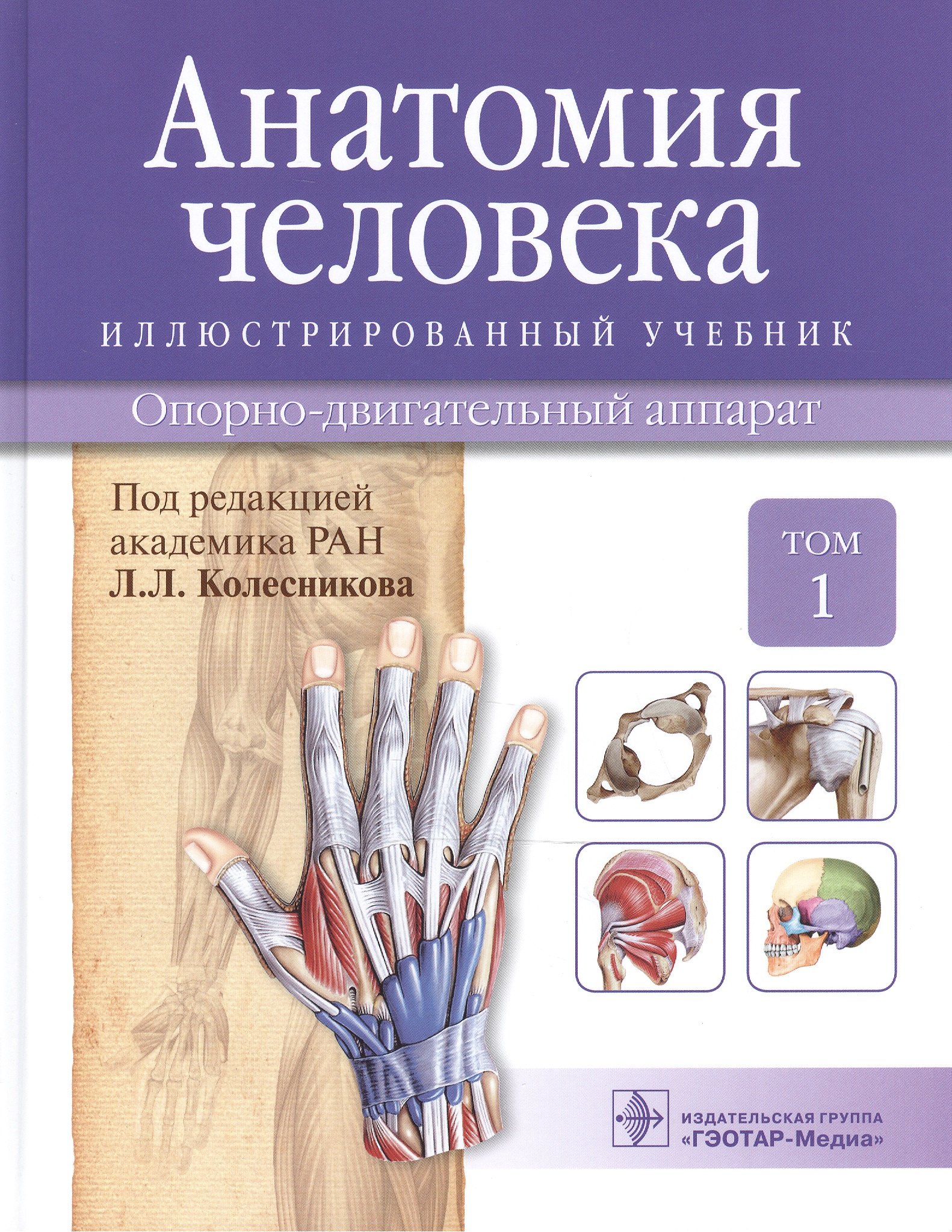 Колесников Лев Львович: Анатомия человека.Т.1-Опорно-двигательный аппарат.Учебник в 3 томах