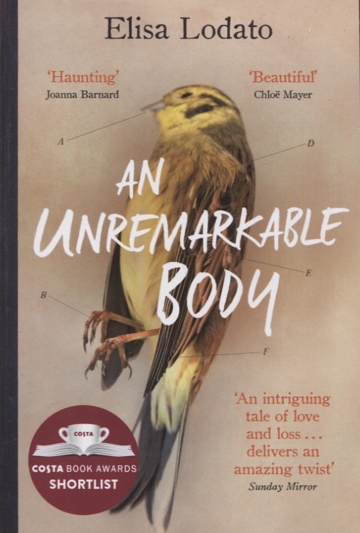 Elisa Lodato: An Unremarkable Body
