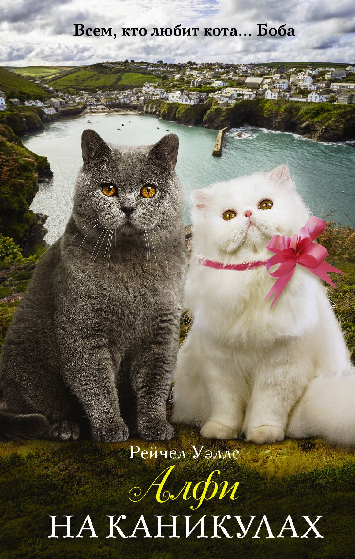 Уэллс Рейчел: Алфи на каникулах