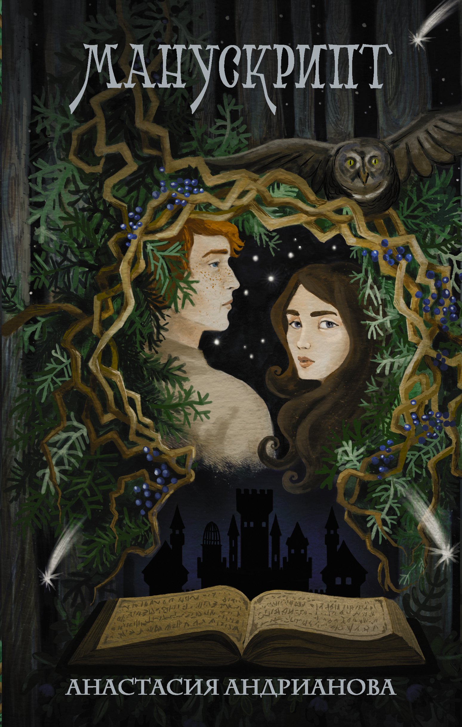 Андрианова Анастасия Александровна: Манускрипт