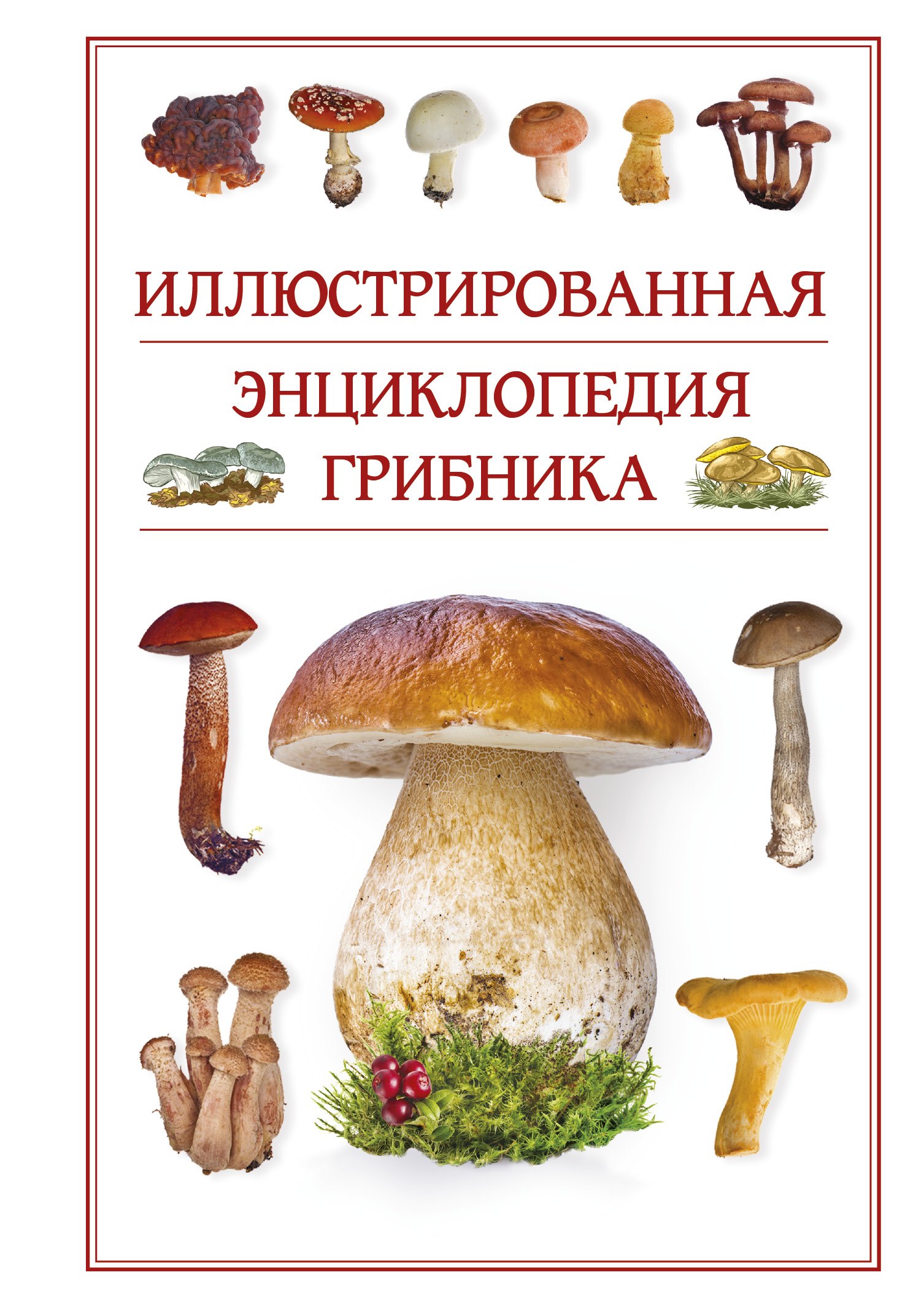 Поленов Андрей Борисович: Иллюстрированная энциклопедия грибника.