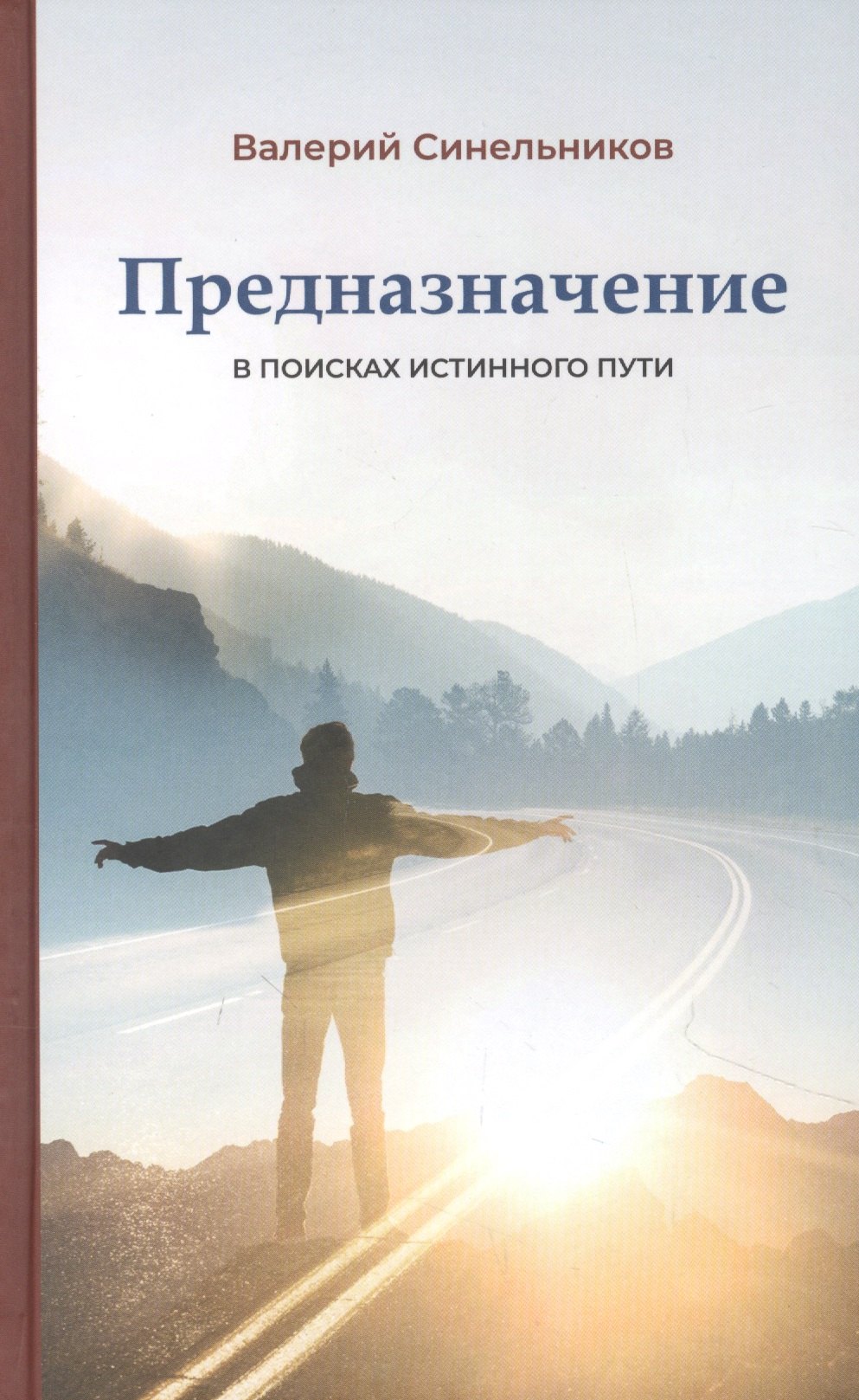 Синельников Валерий Владимирович: Предназначение. В поисках истинного пути